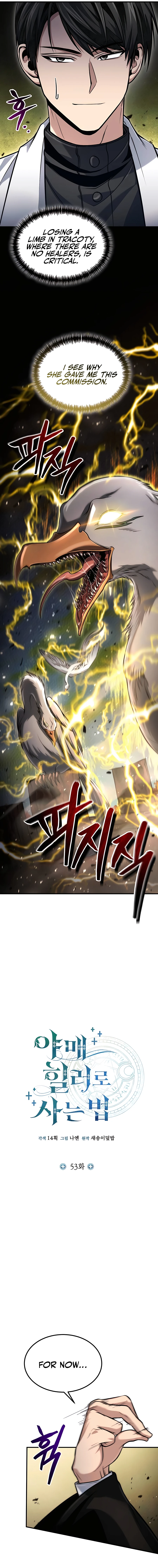 How To Live As An Unlicensed Healer Chapter 53 page 3
